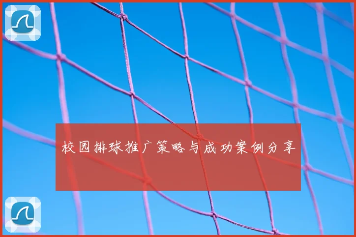 校园排球推广策略与成功案例分享