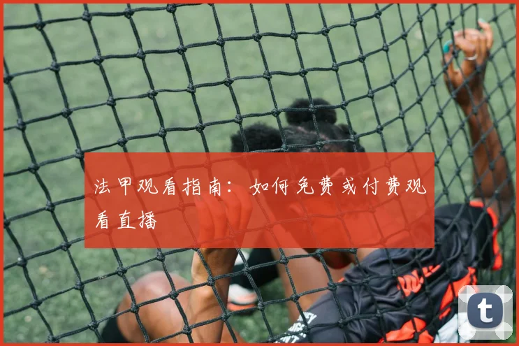 法甲观看指南:如何免费或付费观看直播