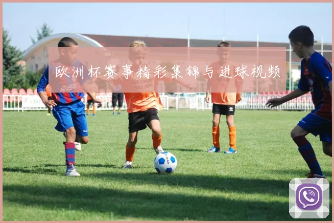 欧洲杯赛事精彩集锦与进球视频