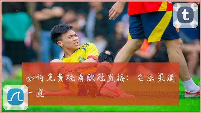 如何免费观看欧冠直播：合法渠道一览