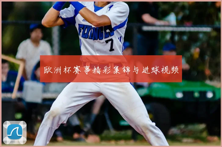 欧洲杯赛事精彩集锦与进球视频